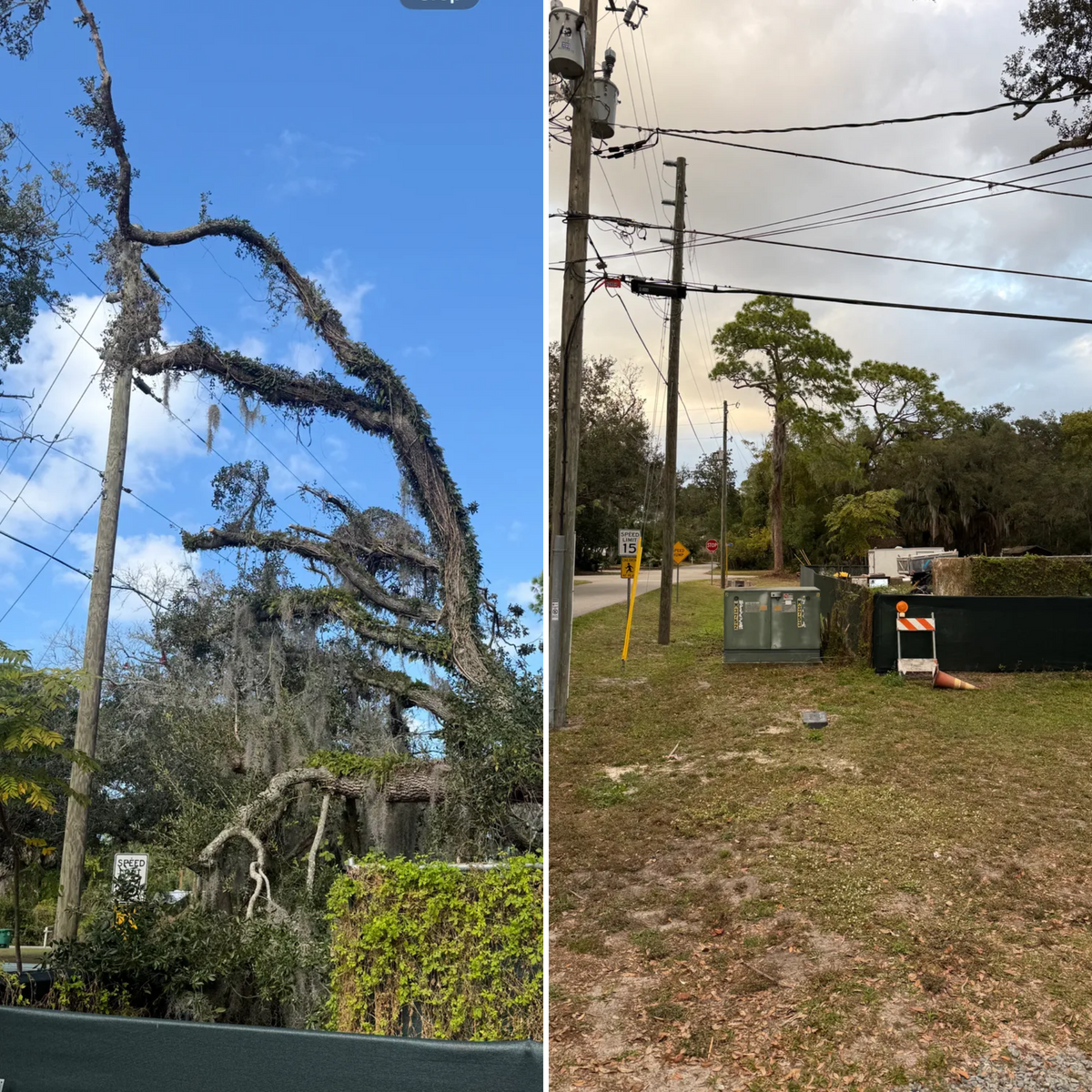 Land Clearing for Amerigrown Tree And Lawn in Apopka, FL
