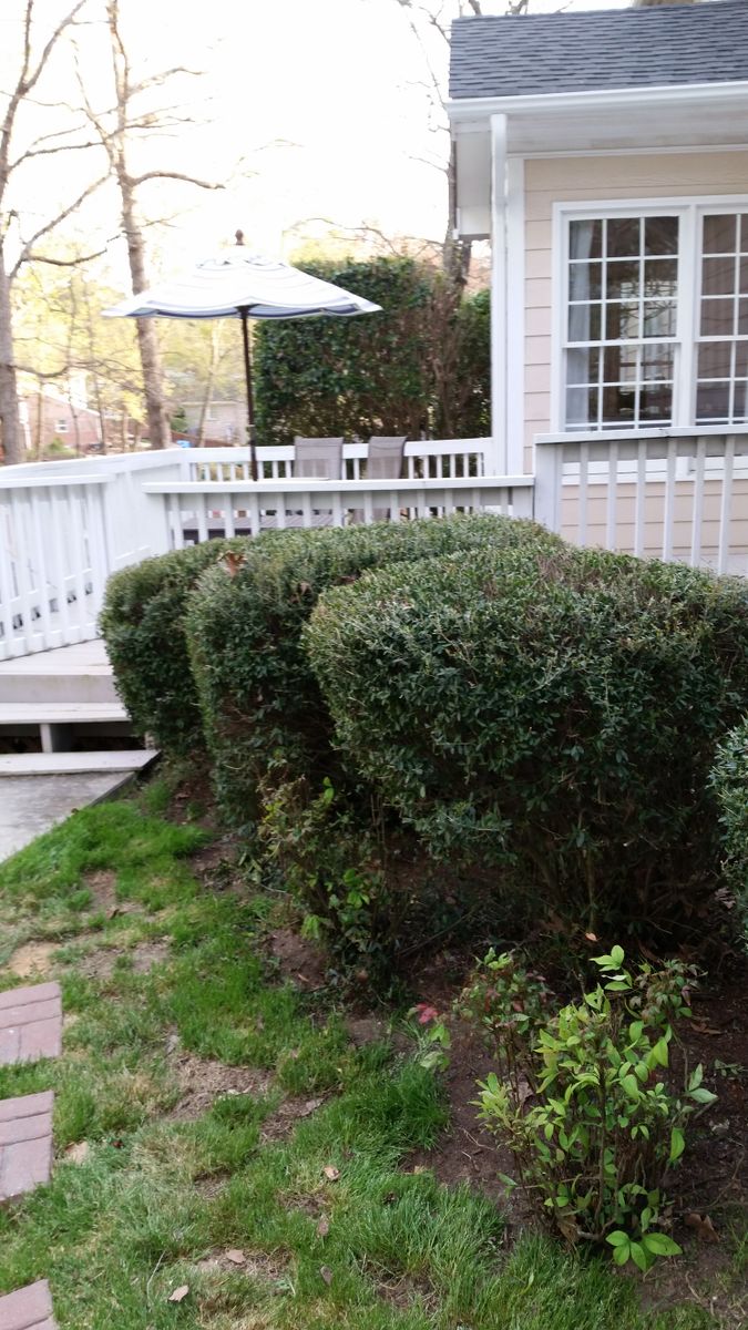 General Home Repair for Mancinas Home Improvement, Landscaping, & Lawn Care in Fayetteville, NC