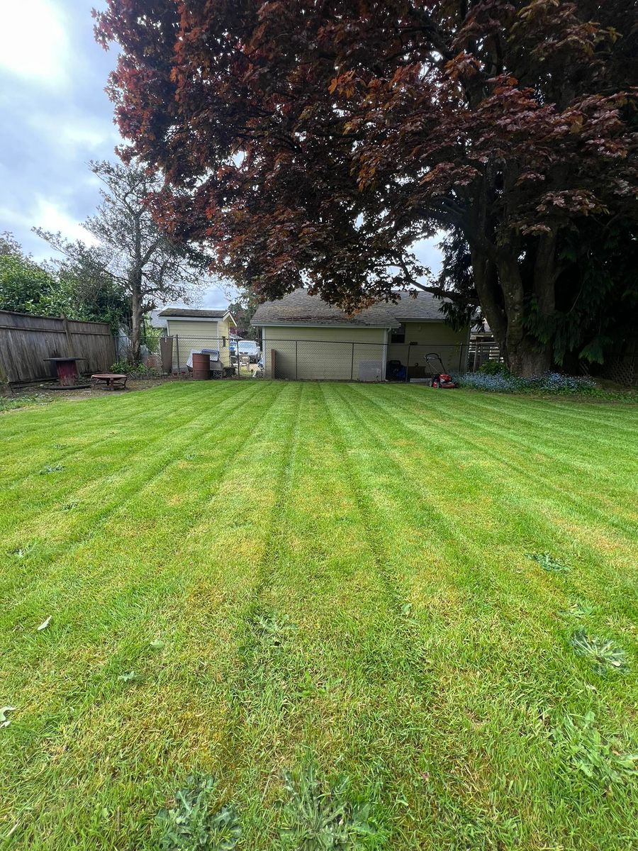 Lawn Maintenance for The Lawn Ranger LLC in Tillamook, OR