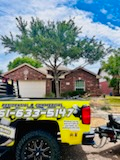 Tree Trimming for Johnnys Pro Cutters in Corpus Christi, TX