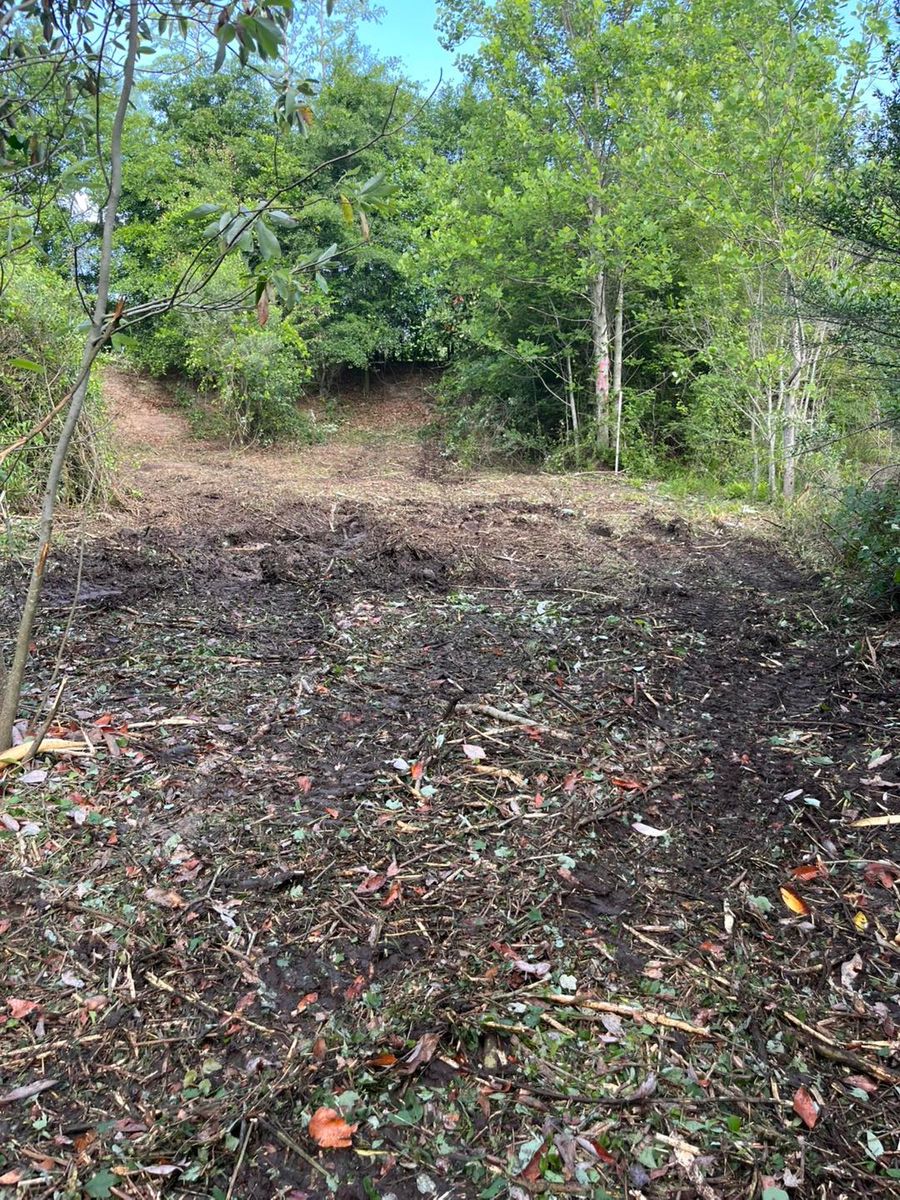 Stump Grinding and Removal for Pinewood Land Management LLC in Nashville, GA