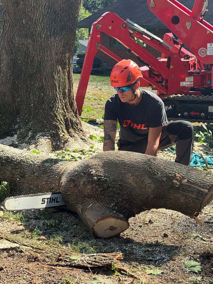 Tree Removal for Mark's Multiple Landscaping in Pittsburgh, PA
