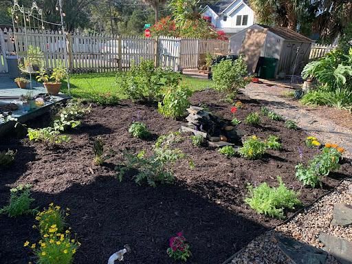 Mulch Installation for Affordable Property Preservation Services in Tampa, Florida