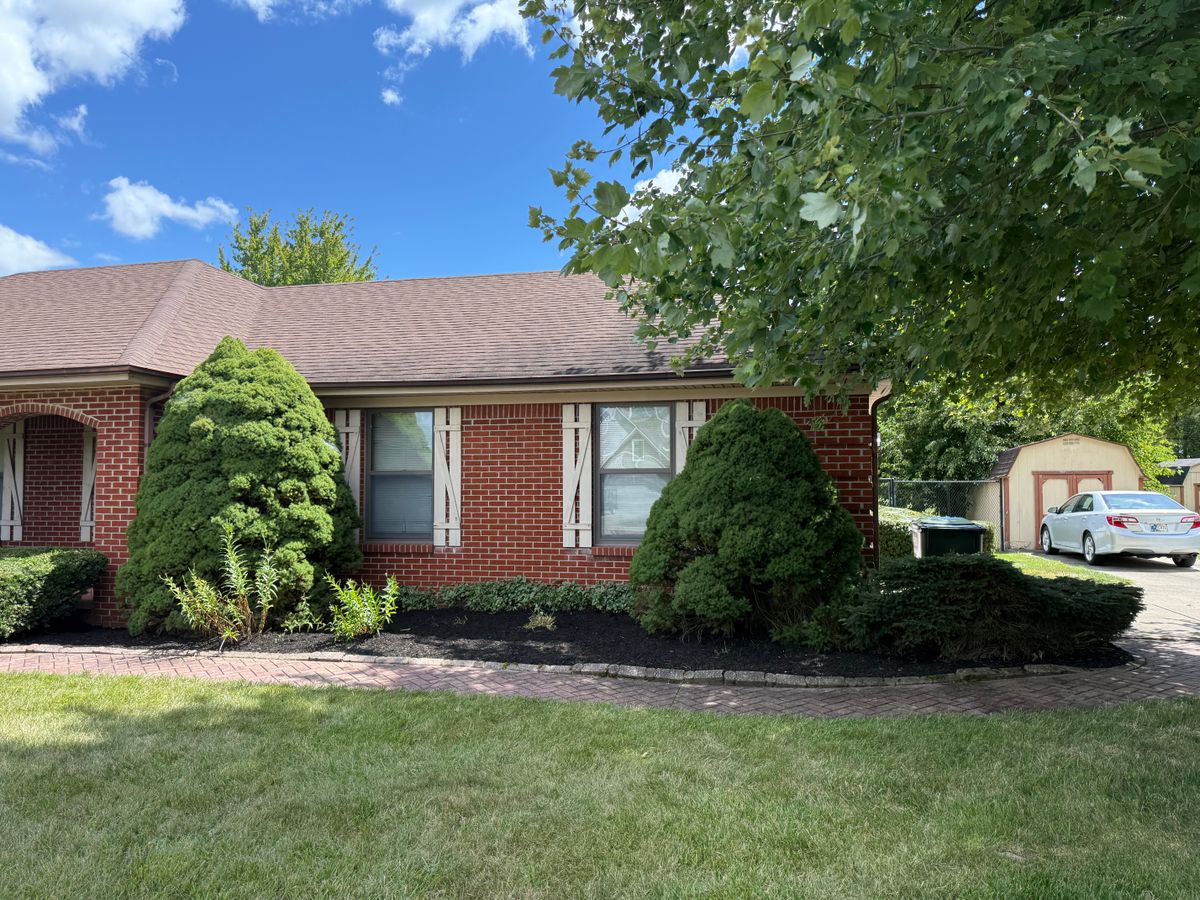 Landscaping for Bearforce Lawn Care LLC in Greenfield, IN