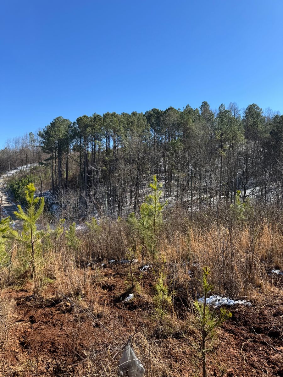 Land Clearing for Miller Farms Hay & Land Management in Knoxville, TN