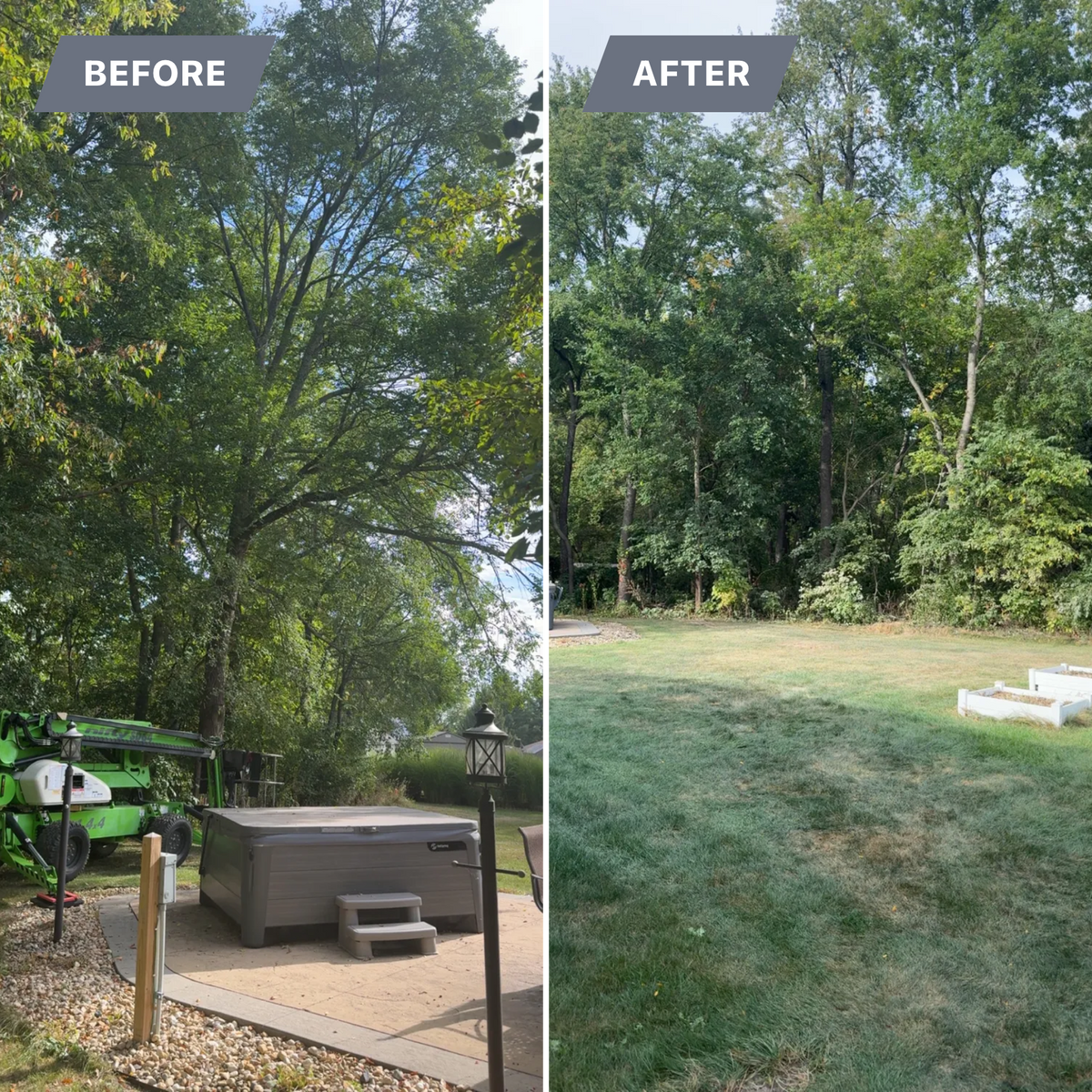 Tree Removal for Fransen's Tree Service  in Freeport, IL