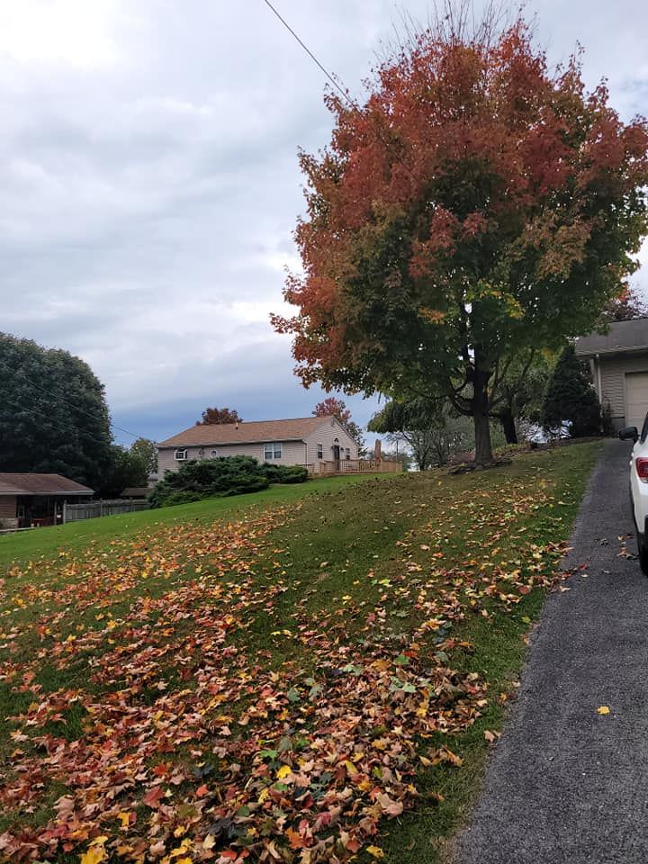 Fall Clean Up for Jonathan A. Henne Property Services. in Hamburg, PA