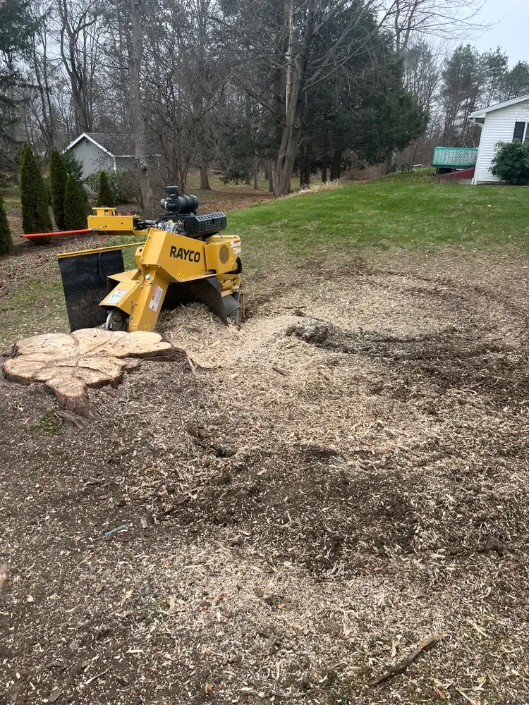 Stump Removal / Stump grinding for Licensed to Cut Tree Service in Athens, PA
