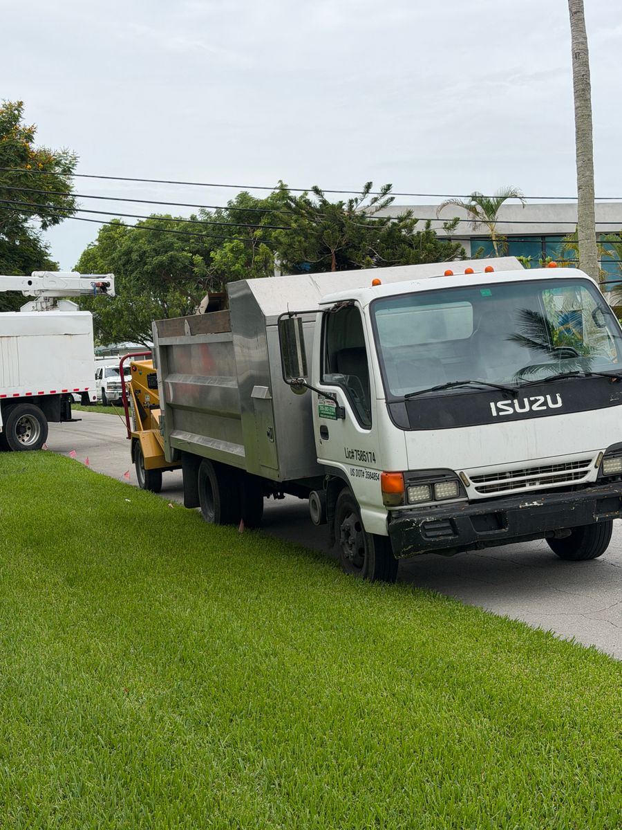 Tree Trimming for Nurry Tree Services in Miami, FL