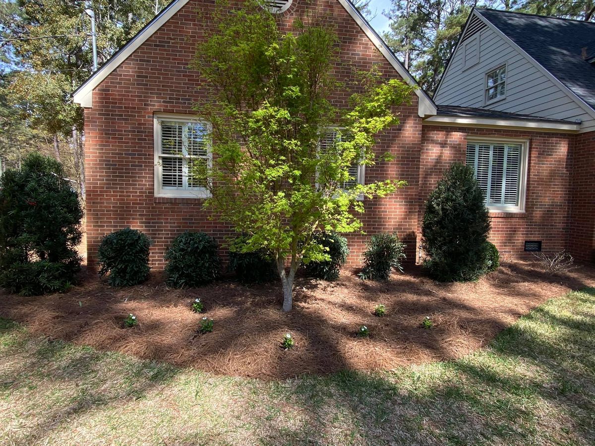 Tree & Shrub Care for Thomasville Lawn Care in Thomasville, GA