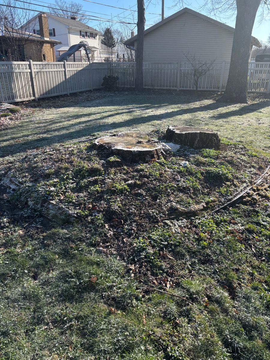 Stump Removal for Dean's Stump Removal in Youngstown, OH