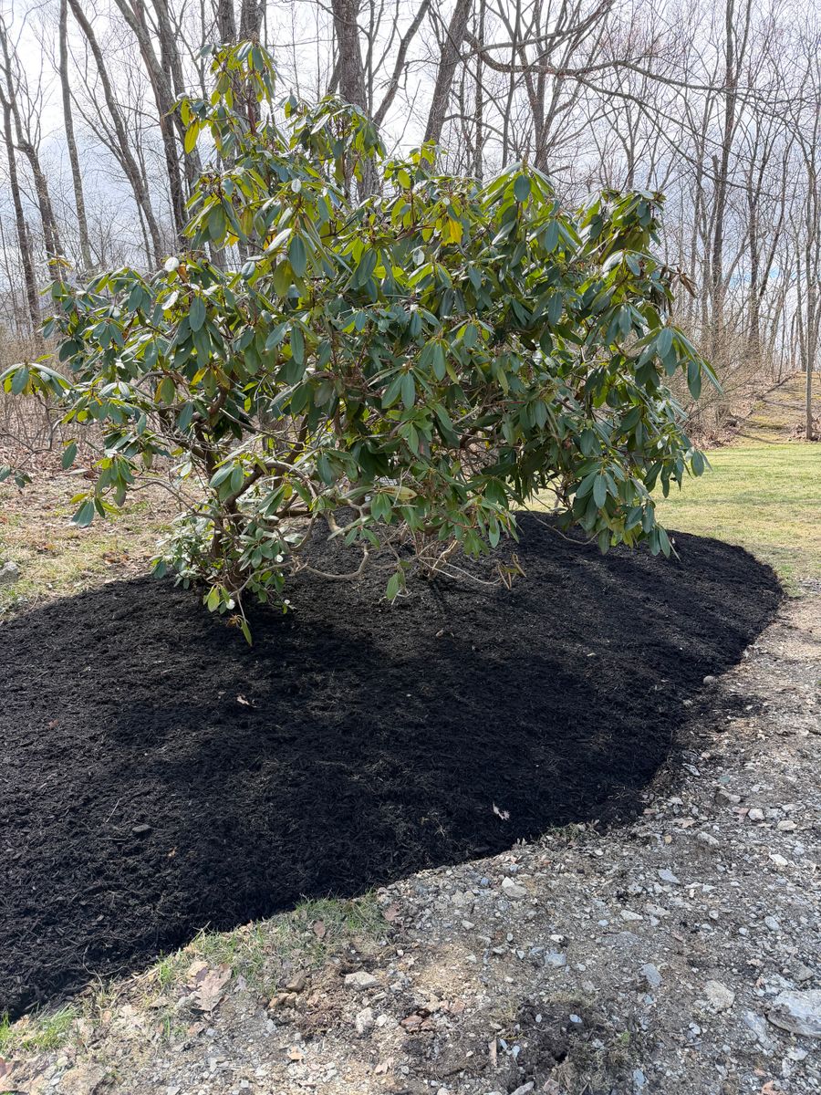 Landscape Design & Construction for Quiet Acres Landscaping in Dutchess County, NY