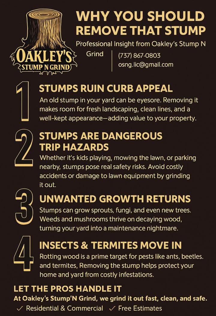 Tree Removal for Oakley’s Stump ‘N Grind in Leander, TX