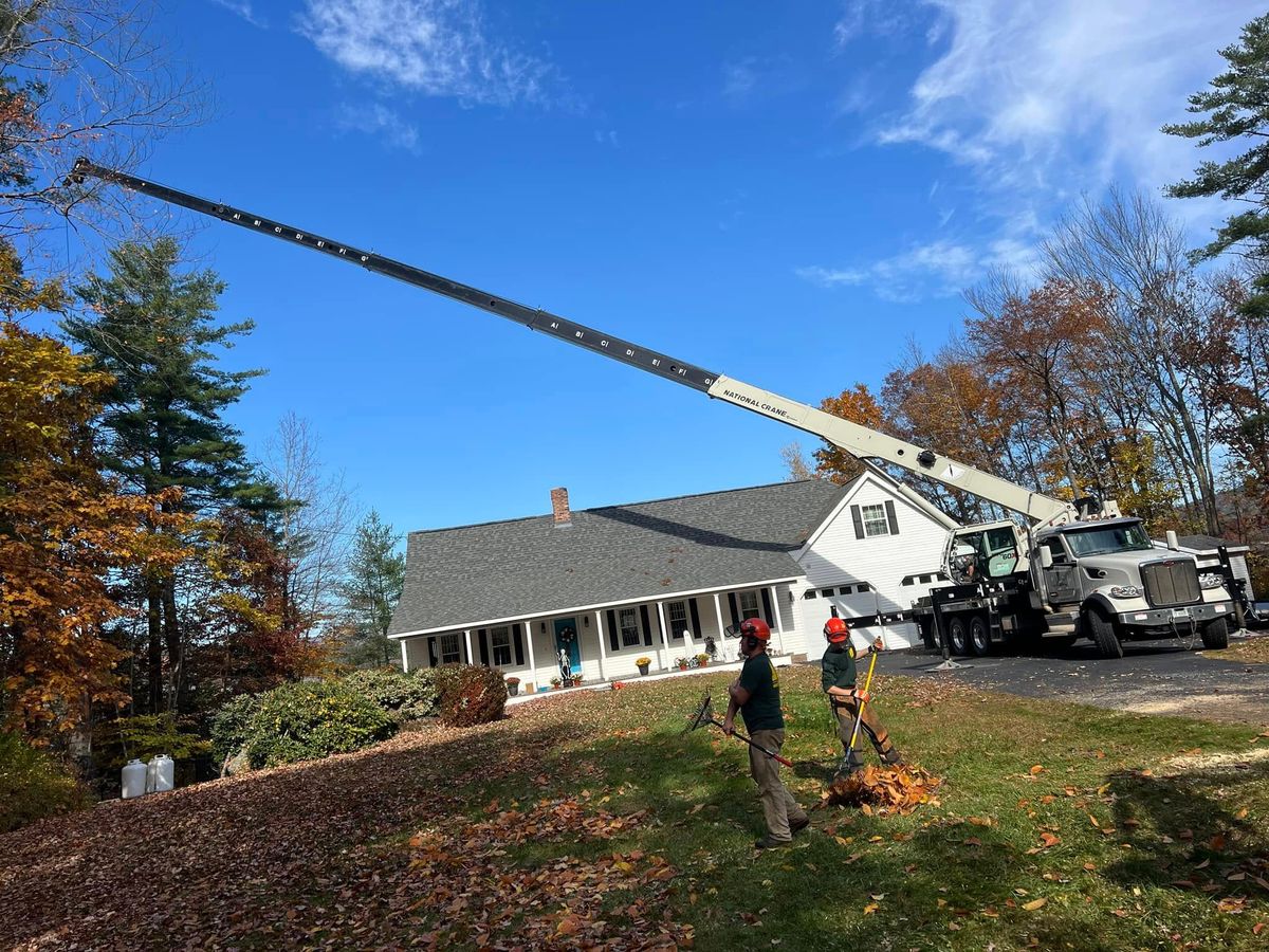 Crane Aided Removal for Abair Tree Service in Weare, NH
