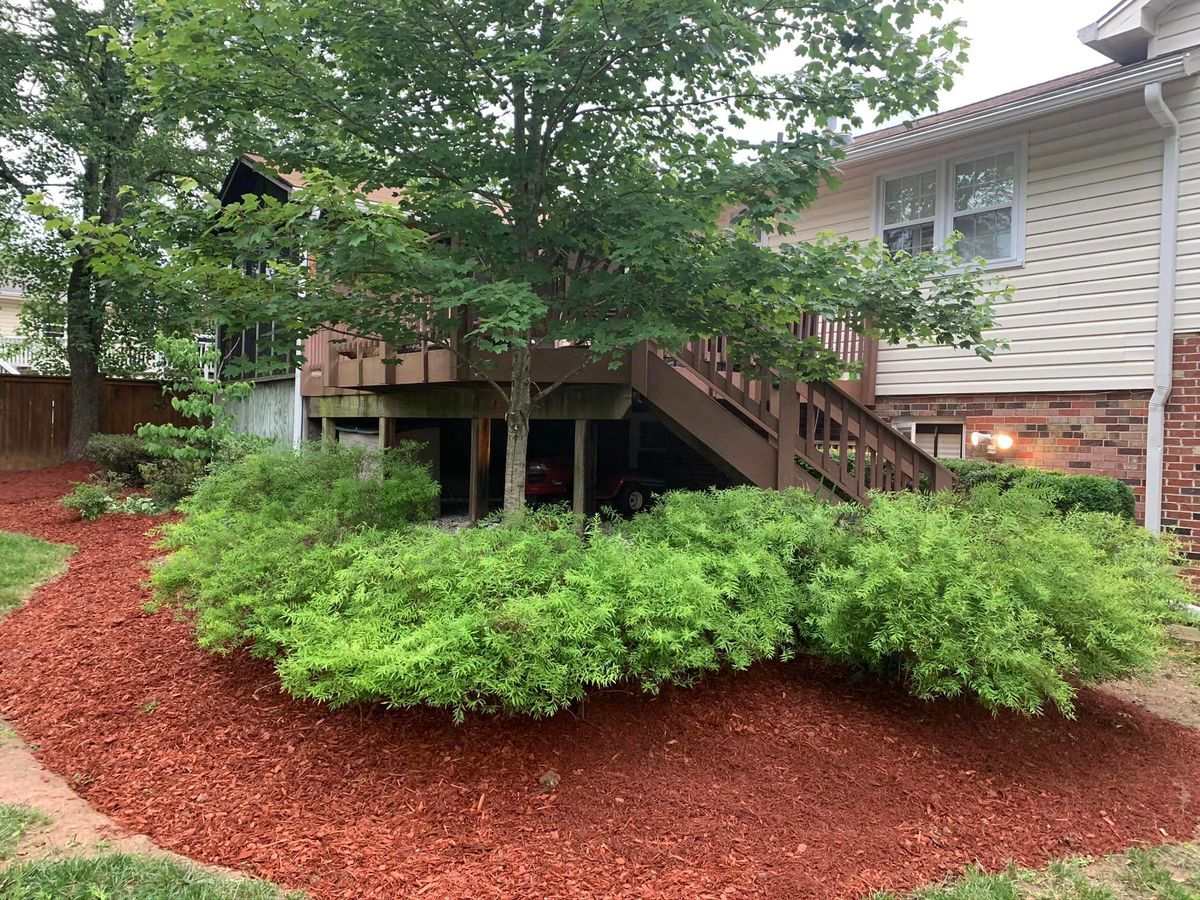 Mulch Installation for Branch Out Tree Care LLC in Fredericksburg, VA