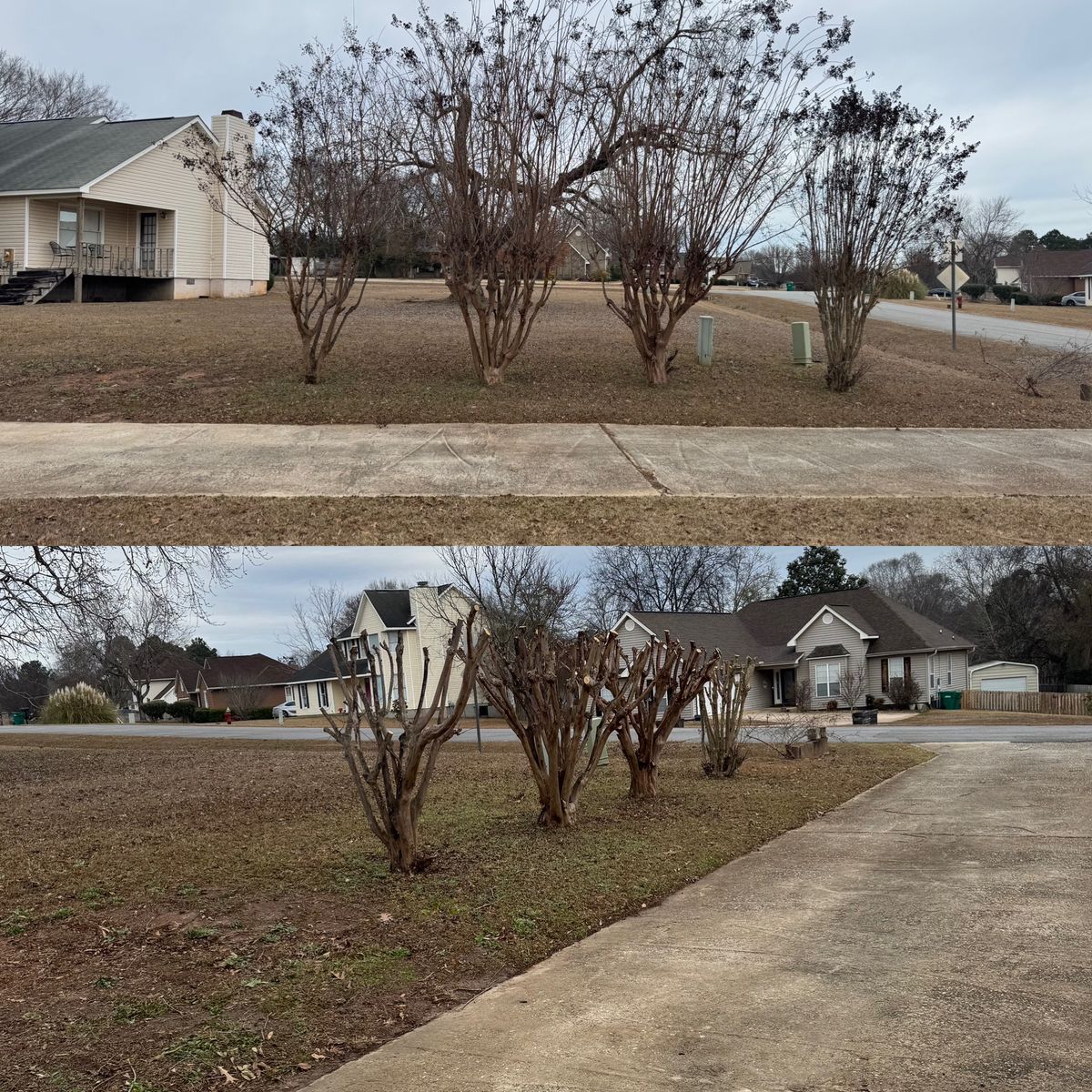 Turf, Ornamental, and Irrigation for Camalett Services in Perry, GA
