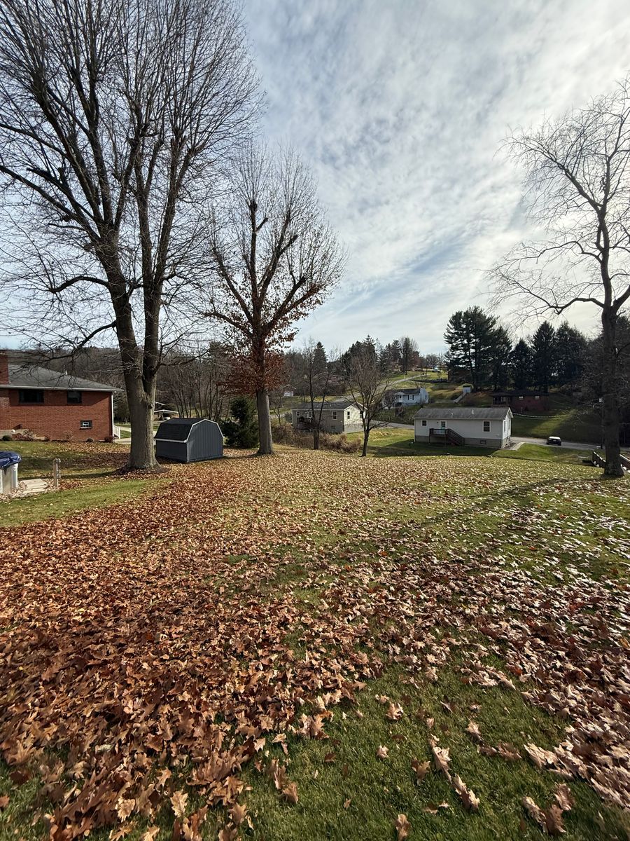 Leaf Removal for Green Hills Lawn Service in Washington, PA