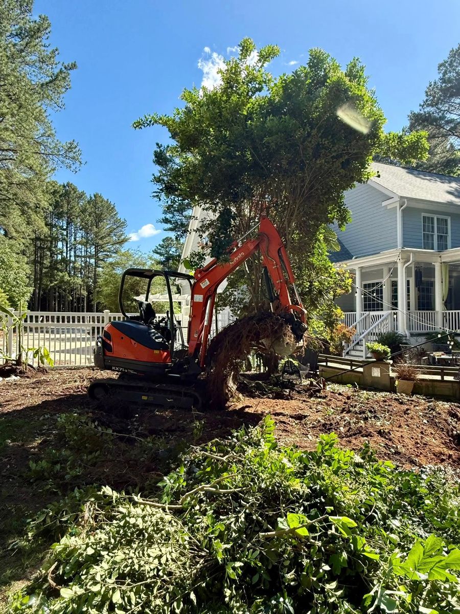 Forestry Mulching for Advantage Rental And Services in Youngsville, NC
