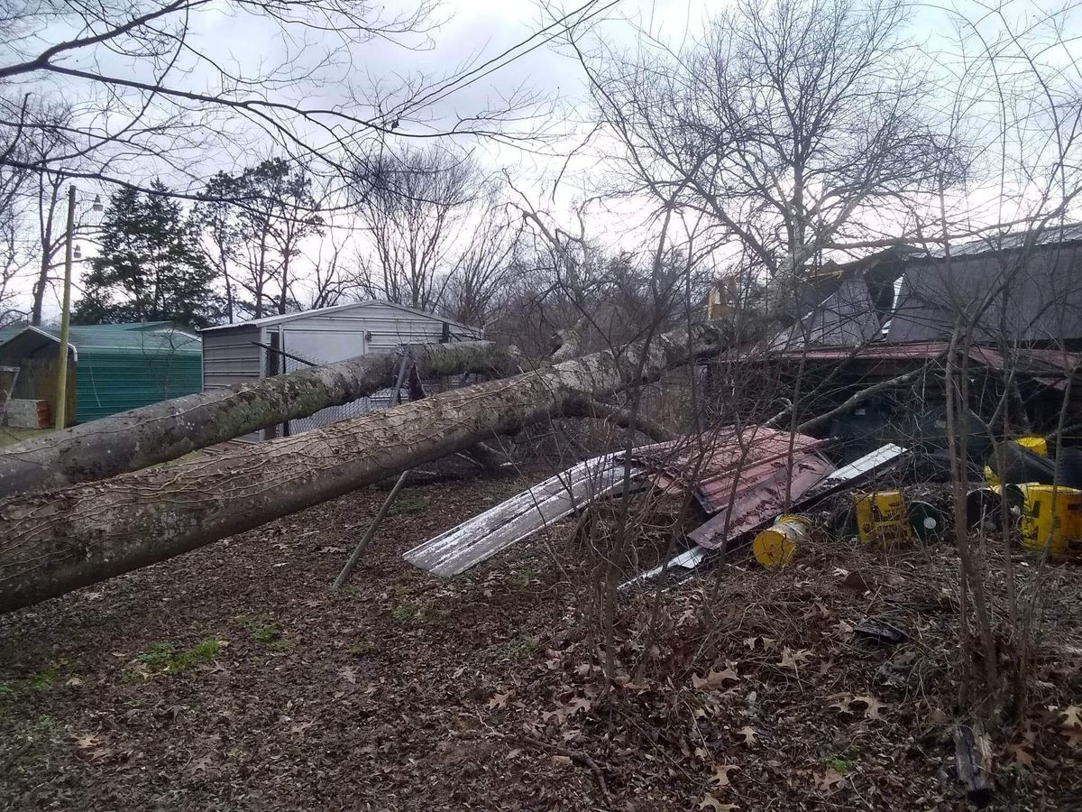 Tree Removal for Puckett's Tree Service in Decatur County, TN