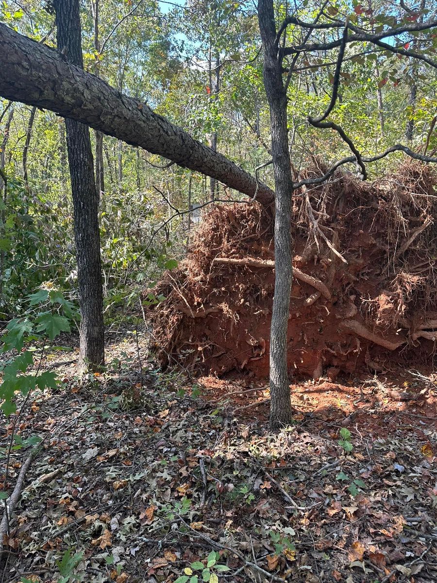 Roofing Repairs for The Flip Flop Roofer in Statesville, NC