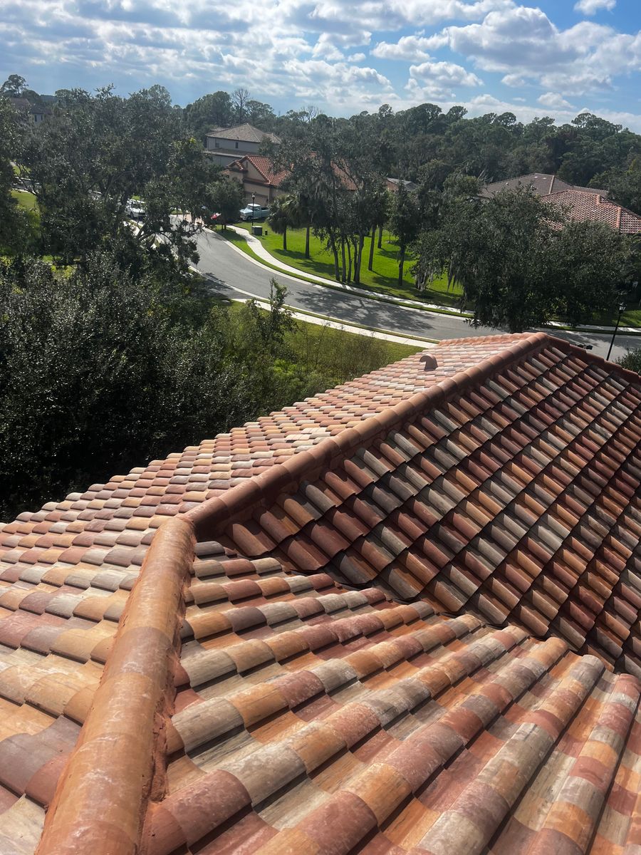 Roof Cleaning for Barr None Wash Pro in Tampa, FL
