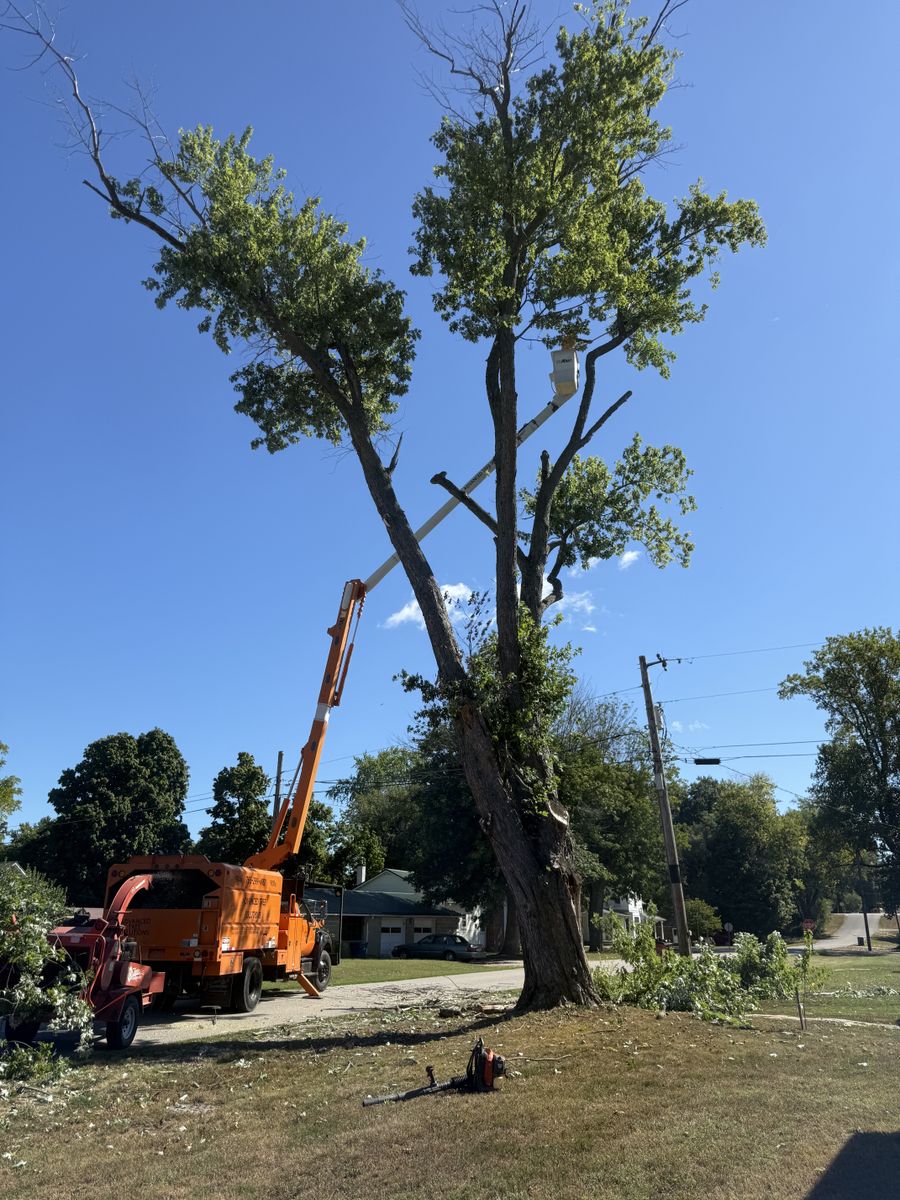Tree Removal for Advanced Tree Solutions in Rockville, IN