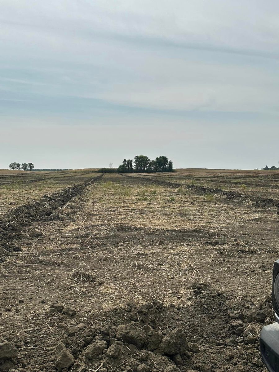 Farm Drainage for Frey Drainage and Excavating in Farmersburg, IN