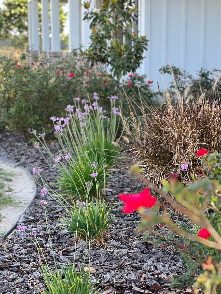 Landscape Design and Installation for Roberts Lawn & Landscape in Cross City, FL