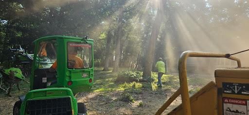 Lot Clearing for Olson Tree Service, Inc in Rockford, IL