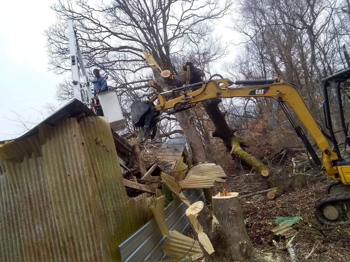 Demolition for Puckett's Tree Service in Decatur County, TN