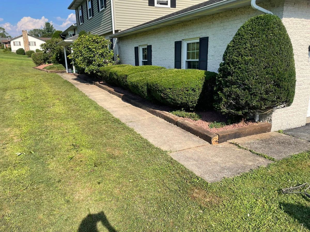 Shrub Trimming for Bryant Property Solutions in Altoona, PA