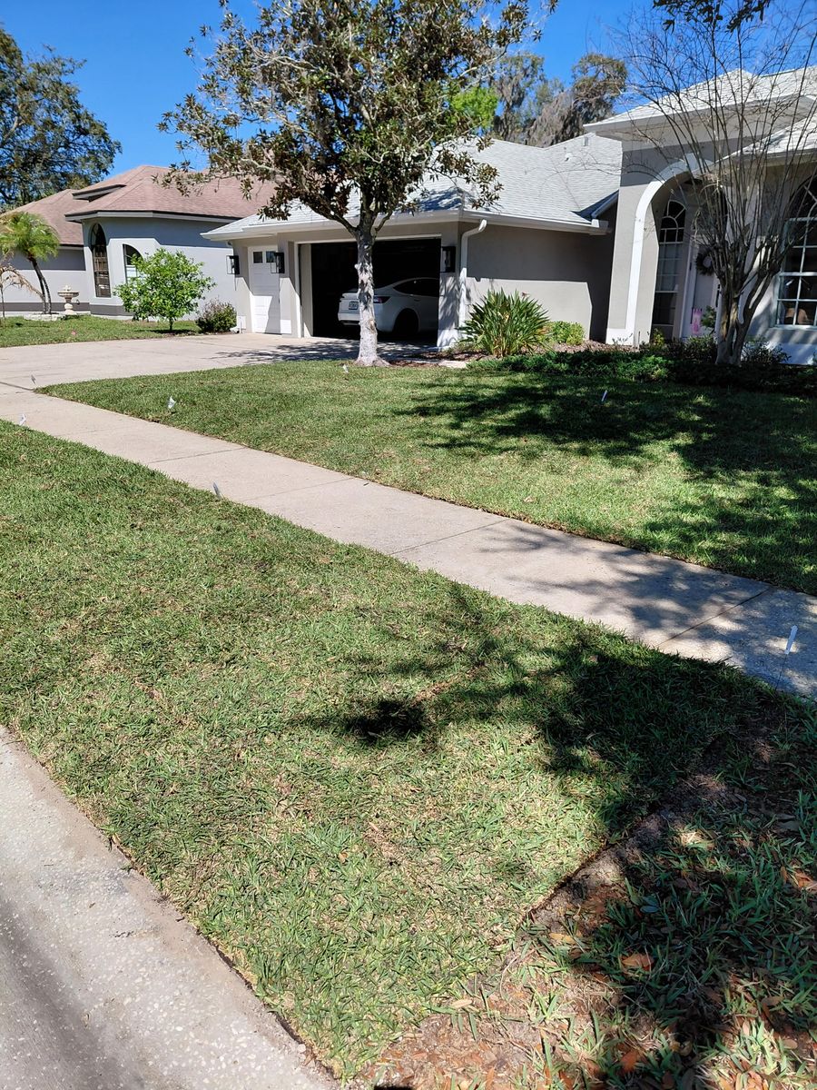 Sod Installation for Gulf Bay Sod in Clearwater, FL