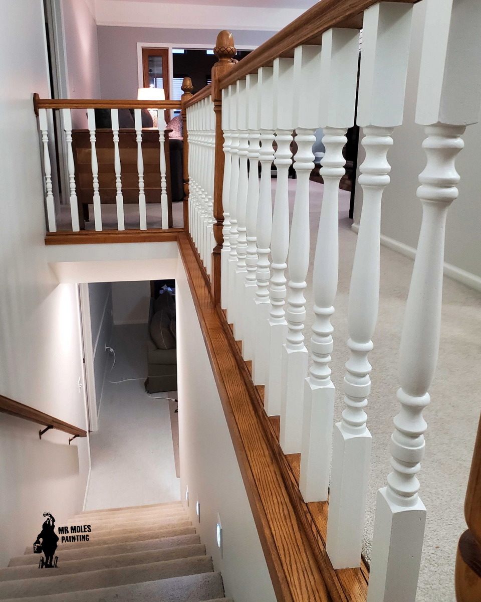 Residential Painting for Mr. Mole's Painting in Bemidji, MN