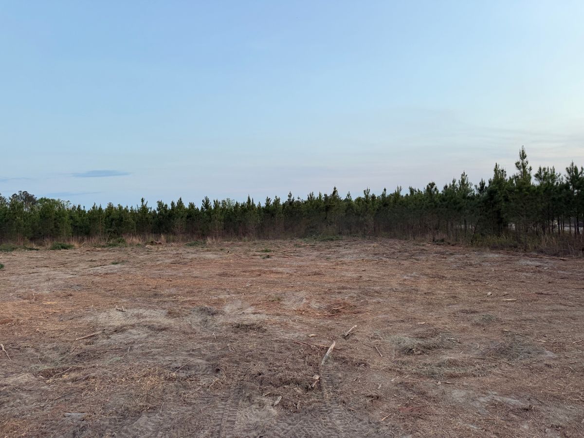 Land Clearing for T N L - Tree and Land Service in Reynolds, GA