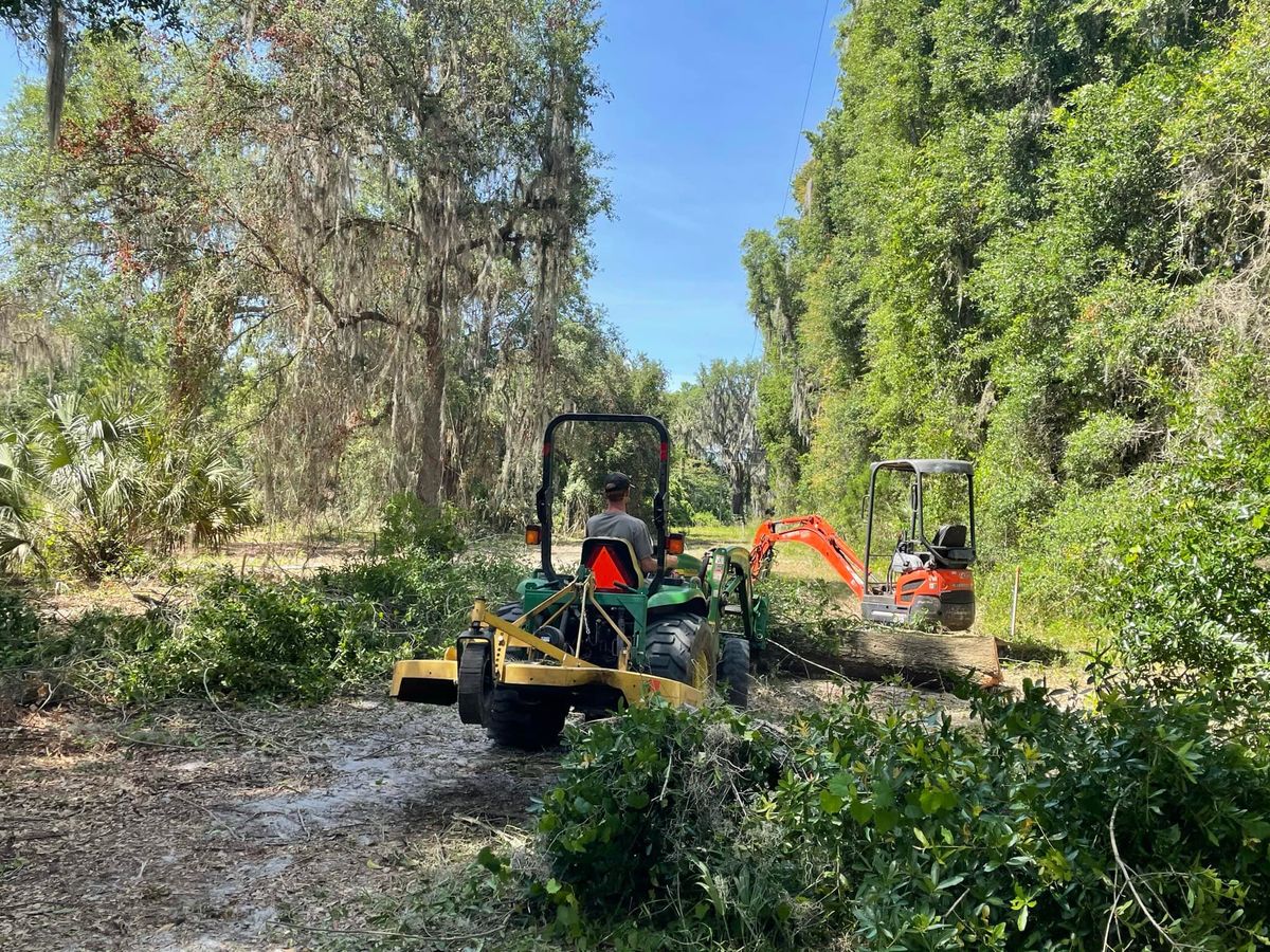 Tree Removal for CJ Dirtwork in Crescent City, FL