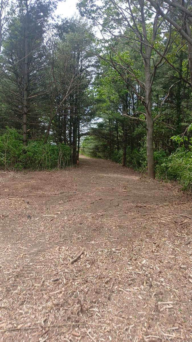 Land Clearing for Willing Trucking & Excavating in Evansville, WI