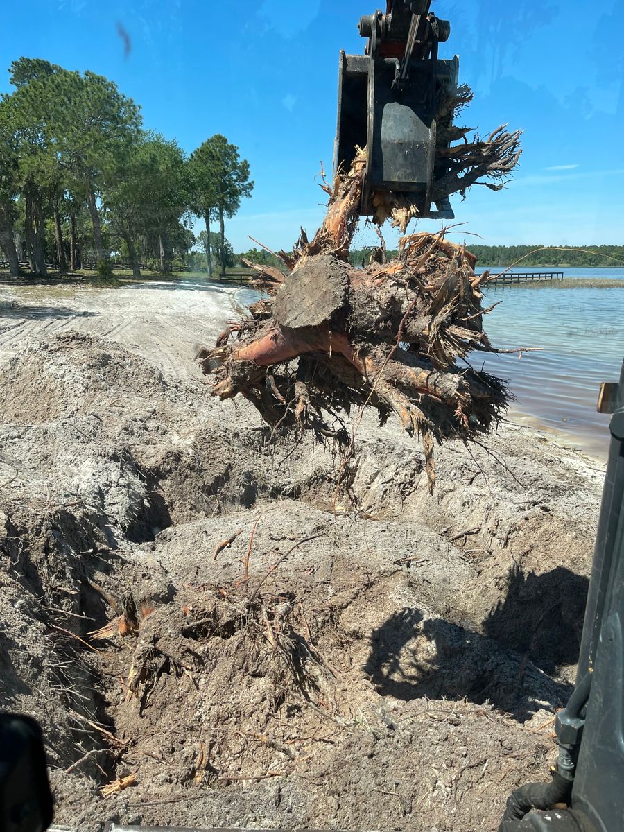 Land Clearing & Demolition for Cooks Aquatic Excavating in Weirsdale, FL