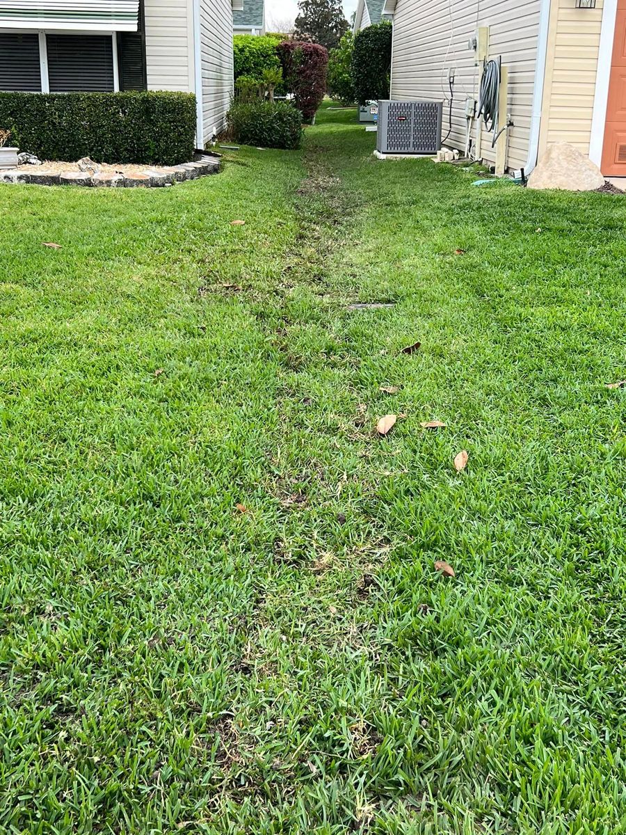 Residential Lawn for R.B. & Company in Belleview, FL