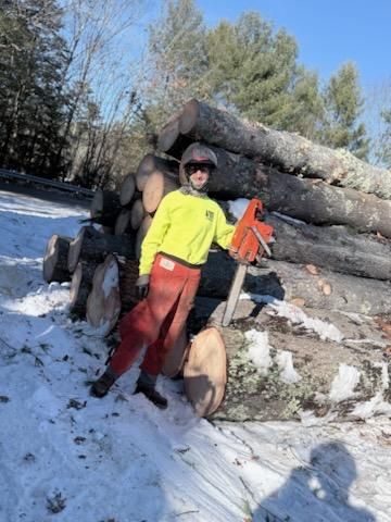 Tree Removal for Abair Tree Service in Weare, NH