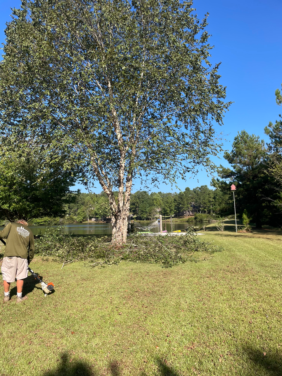 Lawn Care for Enhanced Landscape in Daphne, AL