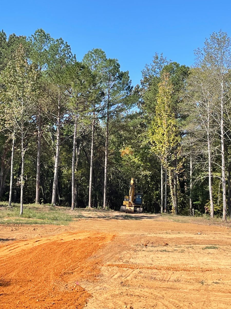 Land Clearing & Demolition for Beaver Excavating Services in Friendship, TN