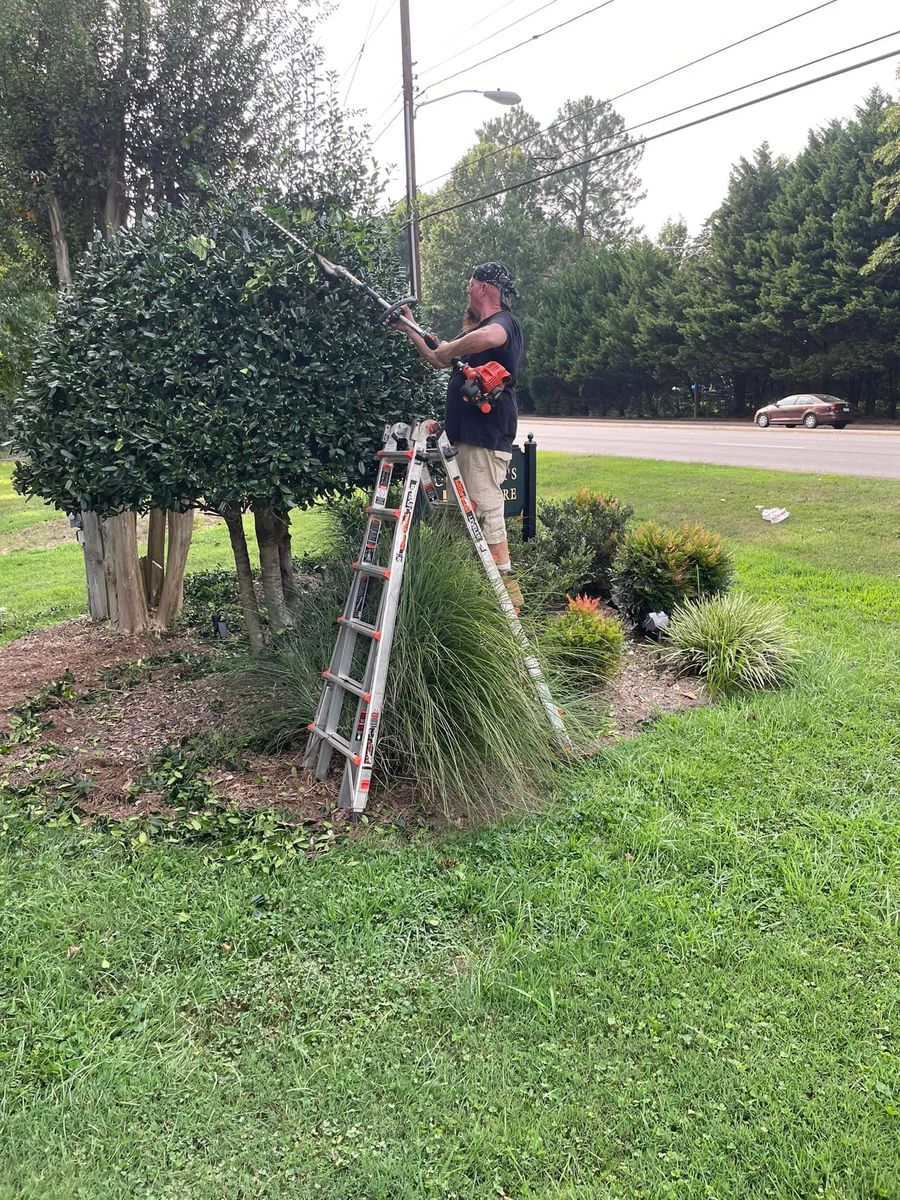 Shrub Trimming for Oakhurst Landscaping and Tree Service in Charlotte, NC