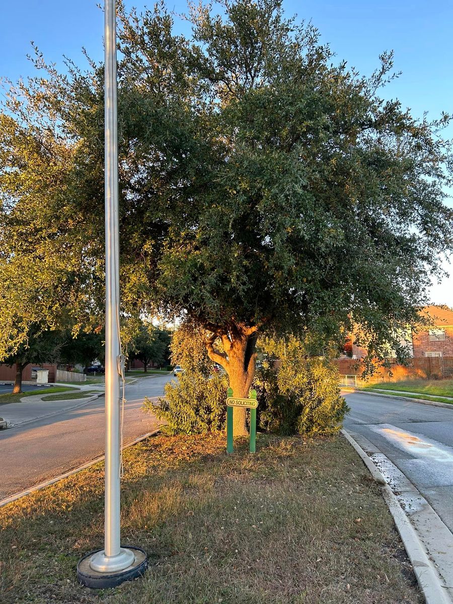 Tree Trimming for C & C Lawn Care and Maintenance in New Braunfels, TX