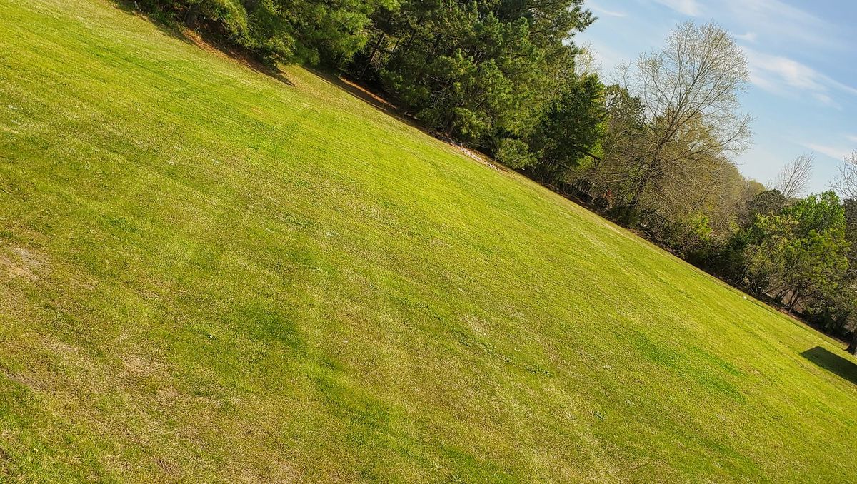 Mowing for Mack Lawn Services  in Waterloo, SC