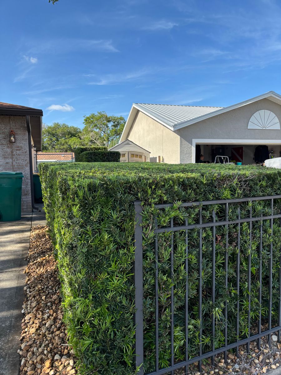 Lawn Maintenance for Space Coast Property Maintenance and Management LLC in Melbourne, FL