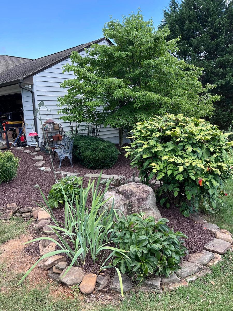 Shrub Trimming for Settle Tree Services in Knoxville, TN