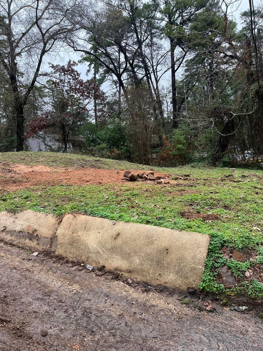 Stump Removal for Banda’s Tree Service And Lawn Care in Tyler, TX