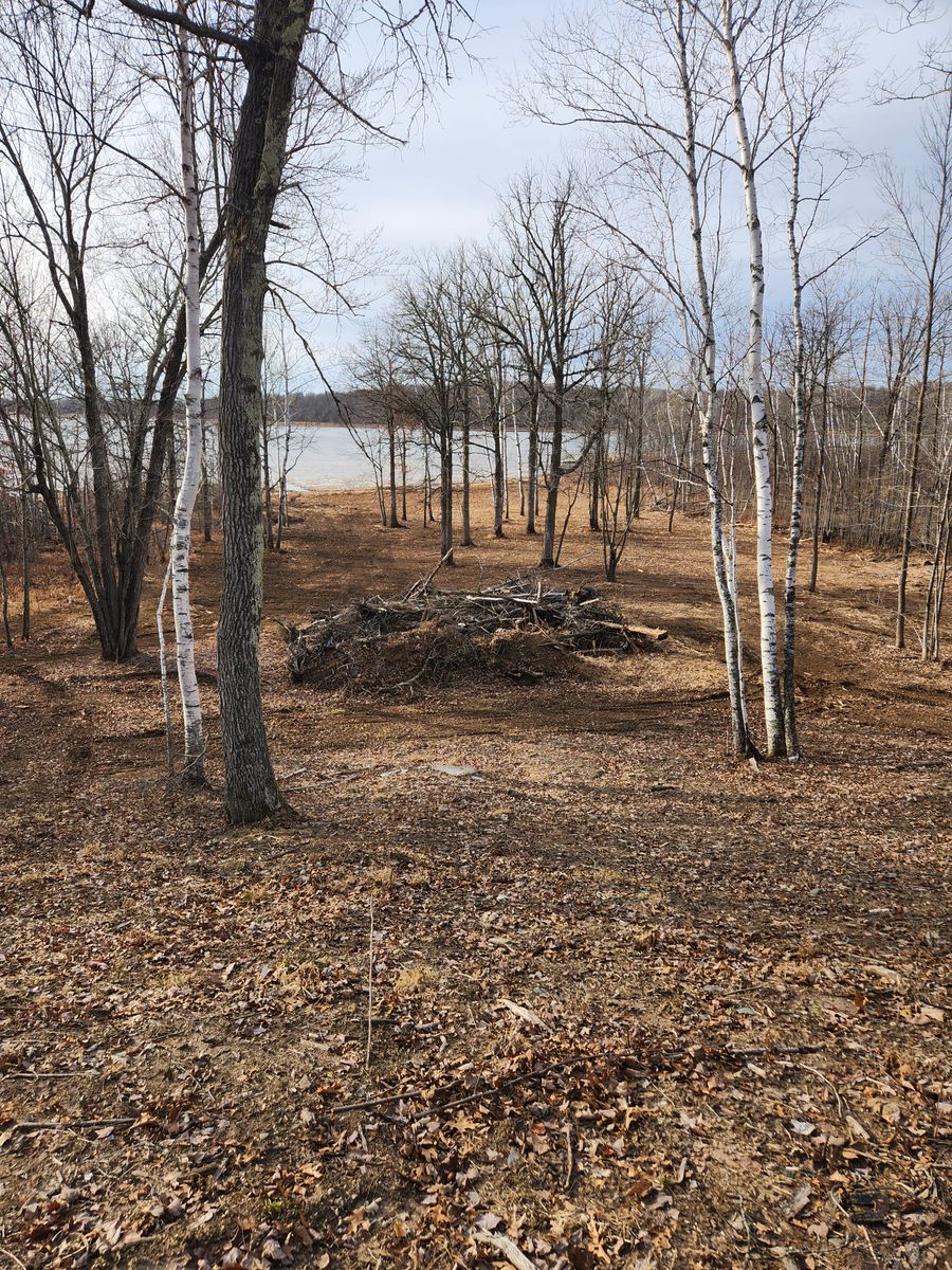 Forestry Mulching & Brush Mowing for Northern Ridge Landscape - Dock & Lift Service in McGregor, MN