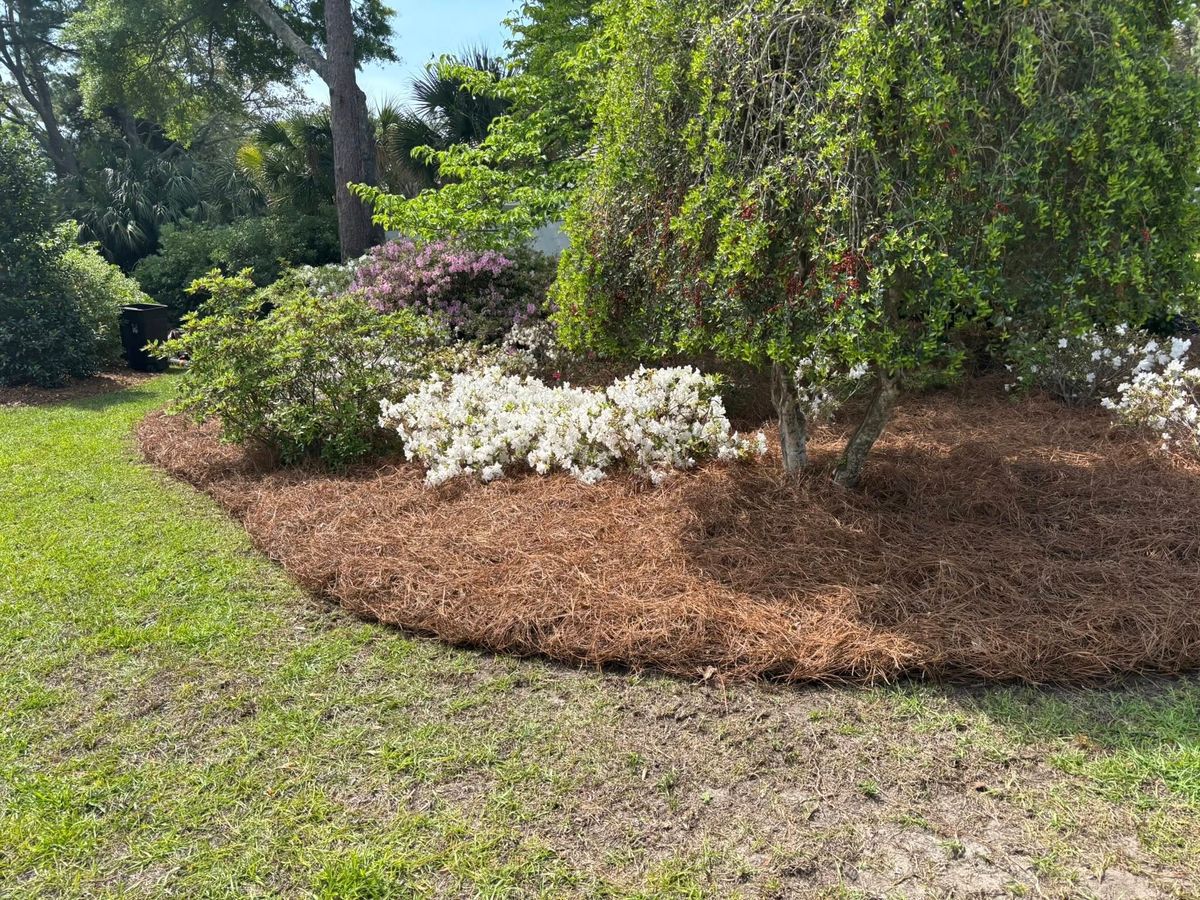 Mulch Installation for White Sands Landscaping in Myrtle Beach, SC