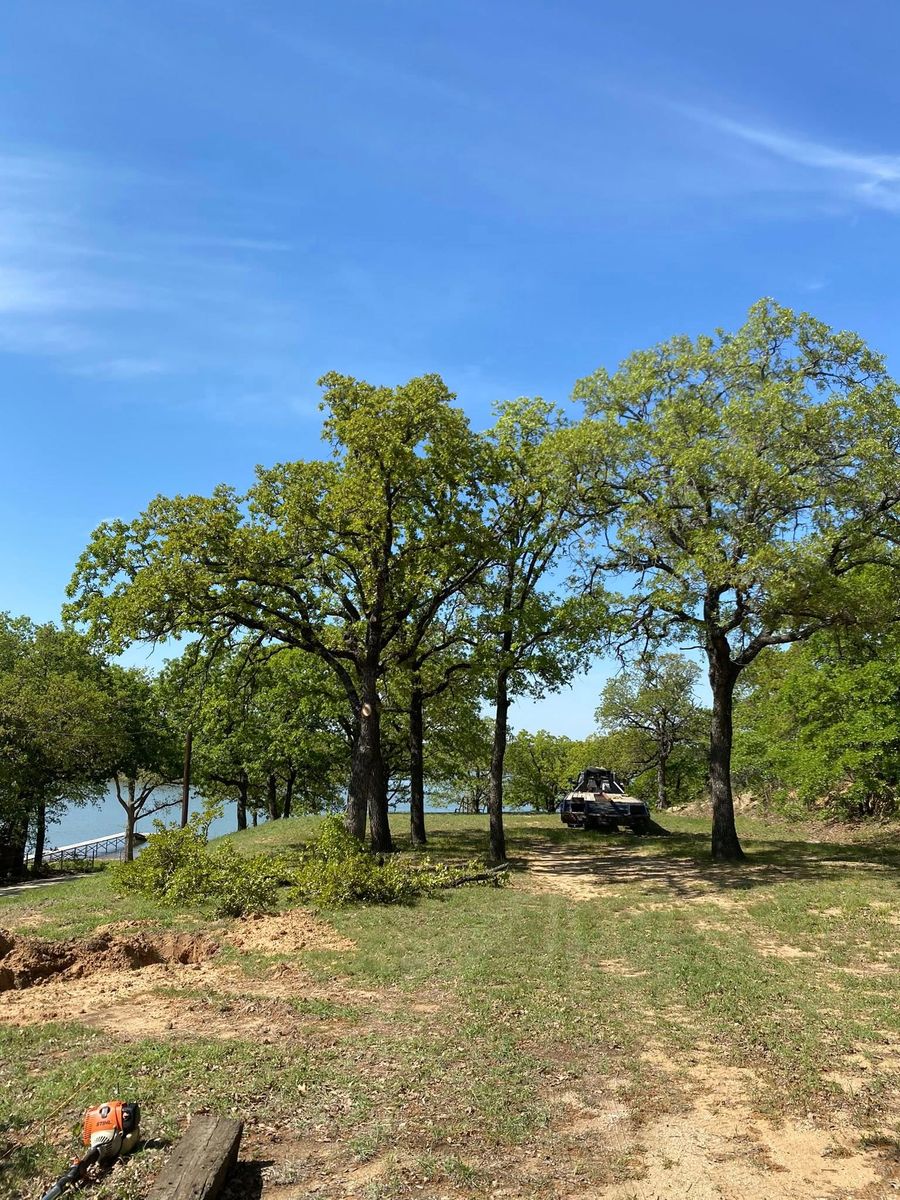 Tree Removal for Hector’s Tree Services in Nocona, TX